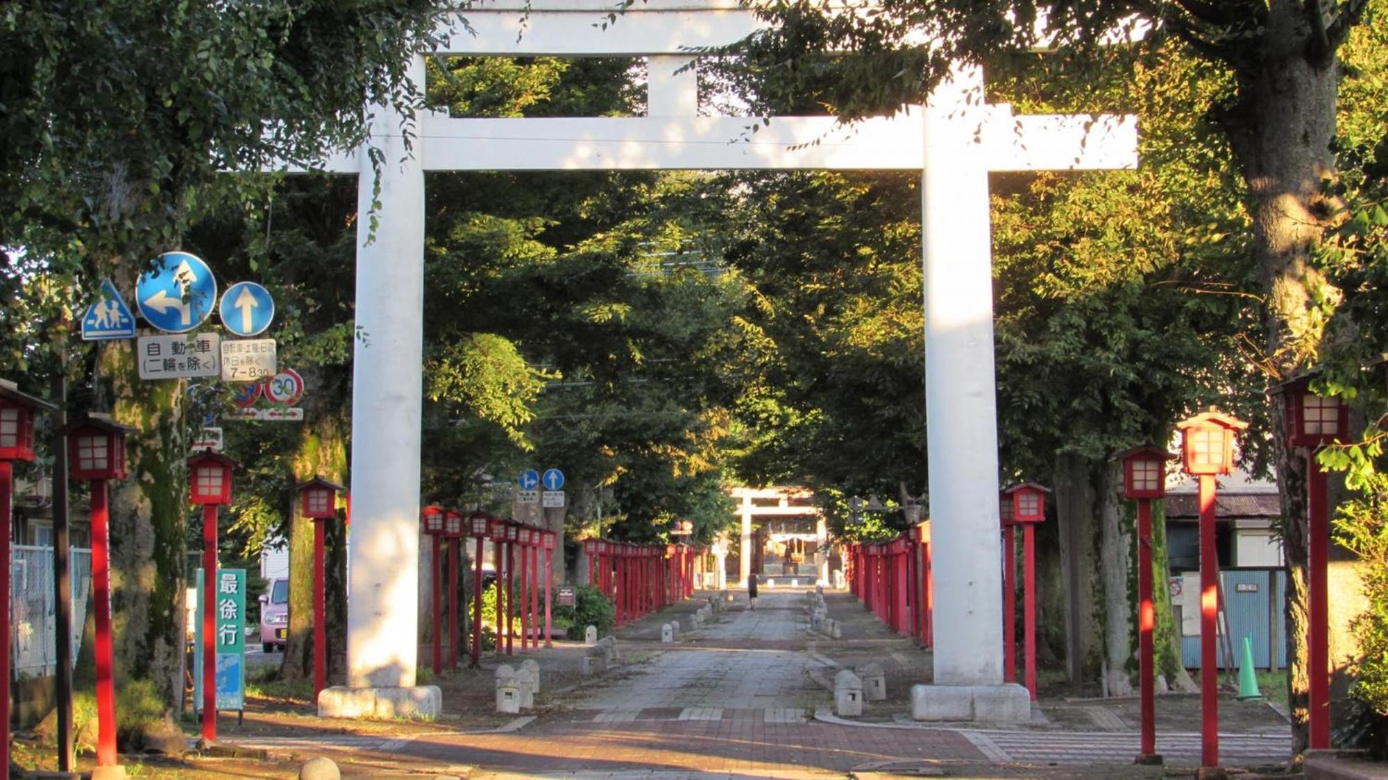 Toyoko Inn Oyama-Eki Higashi-Guchi No.2 Ojama Kültér fotó